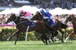 Flying Artie a bigger better horse for Black Caviar Lightning