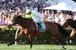 Black Caviar Lightning Stakes First-Up for Illustrious Lad