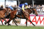 Southern Cross Stakes First-Up for Le Romain