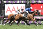 2016 Melbourne Cup Win against the odds for Oceanographer