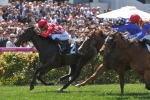 Sensis Stakes winner Sheidel to chase G1 Darley Classic Sensis Stakes winner Sheidel to chase G1 Darley Classic