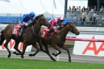 Guvera Stakes winner Disposition get Emirates Stakes blow out Guvera Stakes winner Disposition get Emirates Stakes blow out