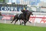 Waterhouse Duo At Big Melbourne Cup Odds