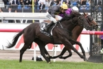 2017 Sydney Cup an Option for Excess Knowledge 2017 Sydney Cup an Option for Excess Knowledge