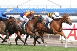 Dubai World Cup An Option For Gailo Chop Dubai World Cup An Option For Gailo Chop