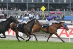 Leading Chances Draw Wide For Sandown Guineas