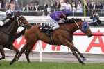 Mahuta Included In Sandown Guineas Nominations