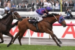 Money For Mahuta In Sandown Guineas Betting