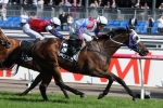 Politeness Claims Maiden Group 1 in 2015 Myer Classic