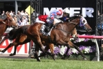Politeness To Resume In Oakleigh Plate
