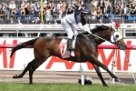 Three Autumn Group 1 Targets For Tarzino Three Autumn Group 1 Targets For Tarzino