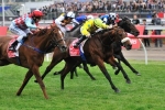 Melbourne Cup Winner Vintage Crop Passes Away