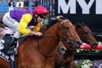 Bonaria looking for a farewell G1 win in Queen Of The Turf Stakes Bonaria looking for a farewell G1 win in Queen Of The Turf Stakes