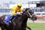 Brazen Beau remains favourite for Diamond Jubilee Stakes Brazen Beau remains favourite for Diamond Jubilee Stakes