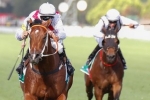 Deep Field maintains unbeaten record in tab.com.au Stakes