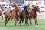My Ambivalent’s Melbourne Cup Odds Slowly Firm