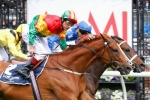 Happy Trails Sentimental Cox Plate favourite Happy Trails Sentimental Cox Plate favourite