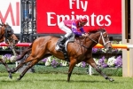 Hucklebuck on trial at the mile in 2014 Emirates Stakes