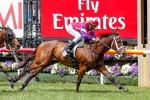 Hucklebuck on trial at the mile in 2014 Emirates Stakes Hucklebuck on trial at the mile in 2014 Emirates Stakes