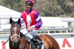 Tourneur Excited To Partner Hucklebuck In The Goodwood