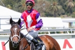 Tourneur Excited To Partner Hucklebuck In The Goodwood Tourneur Excited To Partner Hucklebuck In The Goodwood