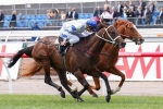 Kermadec’s Australian Guineas Odds Shorten Kermadec’s Australian Guineas Odds Shorten