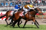 Preferment & Thunder Lady In Spring Preview Handicap Nominations Preferment & Thunder Lady In Spring Preview Handicap Nominations