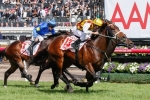 Royal Randwick Guineas Too Short For Preferment