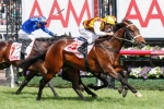 Wet track to blame for Preferment’s Australian Derby Defeat