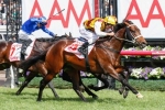 Victoria Derby 2014 won by Preferment