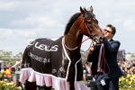 Forward Melbourne Cup Field Position For Signoff Forward Melbourne Cup Field Position For Signoff