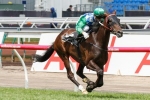Signoff’s Adelaide Cup campaign in limbo Signoff’s Adelaide Cup campaign in limbo