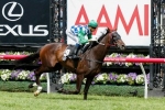 2014 Melbourne Cup odds: My Ambivalent still a roughie
