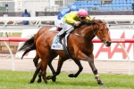 Thunder Lady At Her Peak For Lexus Stakes Thunder Lady At Her Peak For Lexus Stakes