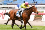 Thunder Lady Close To Her Peak For Vinery Stud Stakes