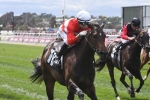 Invincible Star out of contention for Golden Slipper Invincible Star out of contention for Golden Slipper