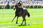 Kirramosa New Crown Oaks Favourite After Fast-Finishing Wakeful Stakes Win Kirramosa New Crown Oaks Favourite After Fast-Finishing Wakeful Stakes Win