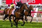 Polanski unlikely runner in C S Hayes Stakes Polanski unlikely runner in C S Hayes Stakes