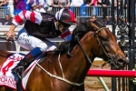 Polanski set for the Australian Derby