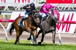 Catkins gear tinkering for Queen Of The Turf Stakes