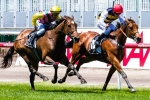 Melbourne Cup The Goal For Let’s Make Adeal