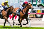 O’Donnell happy with 2 runners in 2013 Melbourne Cup Field O’Donnell happy with 2 runners in 2013 Melbourne Cup Field