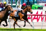 2013 Melbourne Cup Betting: Ruscello Shortens Significantly 2013 Melbourne Cup Betting: Ruscello Shortens Significantly