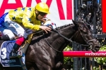 Side Glance wraps up Cox Plate preparation with leisurely gallop Side Glance wraps up Cox Plate preparation with leisurely gallop