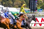 Big Orange To Melbourne Cup Following Goodwood Cup Win
