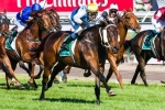 Hunter Pleased with Smokin’ Joey Ahead of Australia Stakes