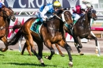 Melham looking for G1 comeback win in the Goodwood