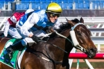 Smokin’ Joey fine for Railway Stakes after flight scare