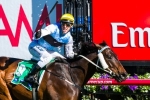 Smokin’ Joey to be ridden cold in Kingston Town Classic