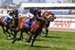 Zoustar Gives Cassidy His 100th Group 1 Victory In 2013 Coolmore Stud Stakes